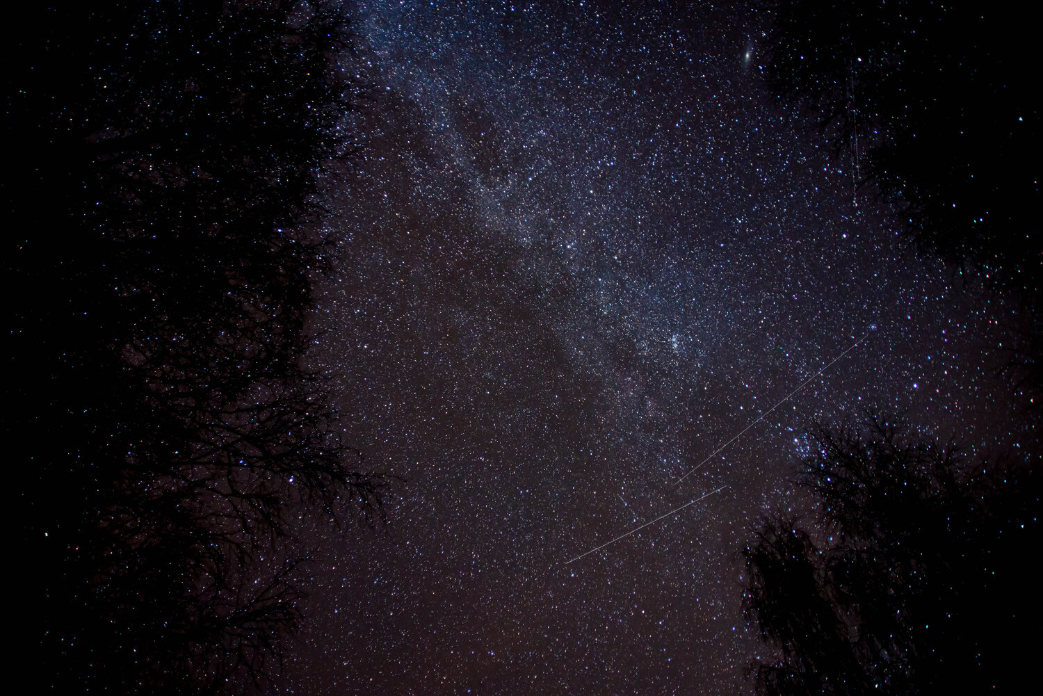 Photo #6380683