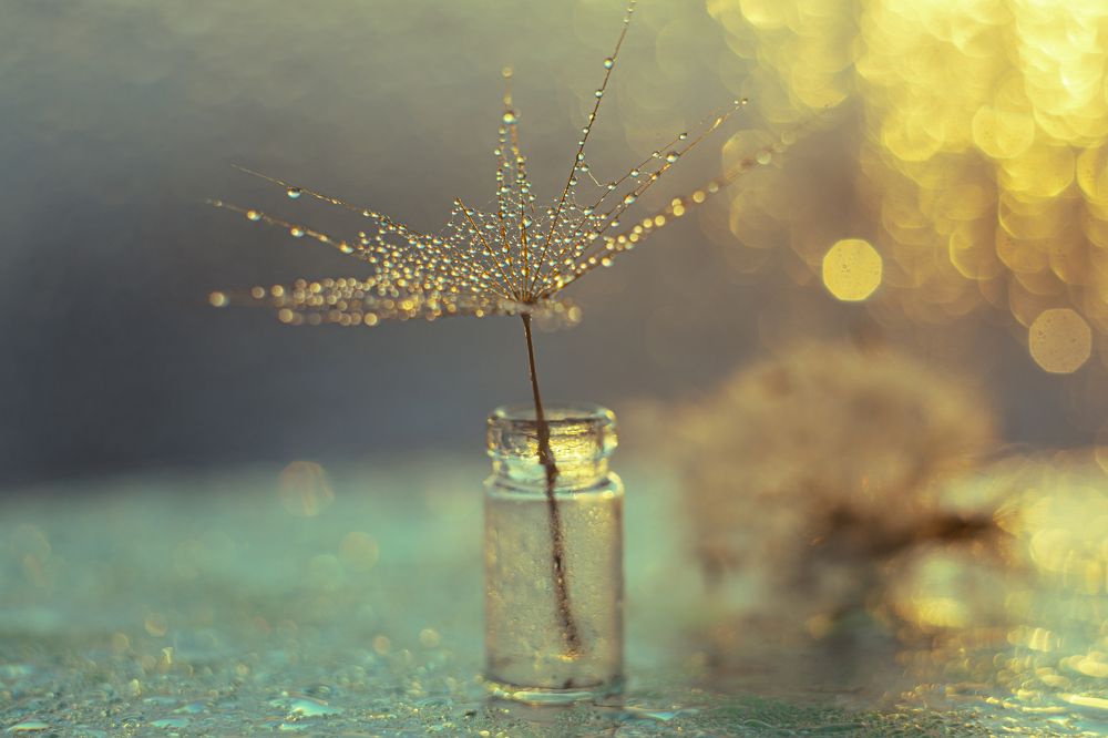 Photograph by Натали Чалык