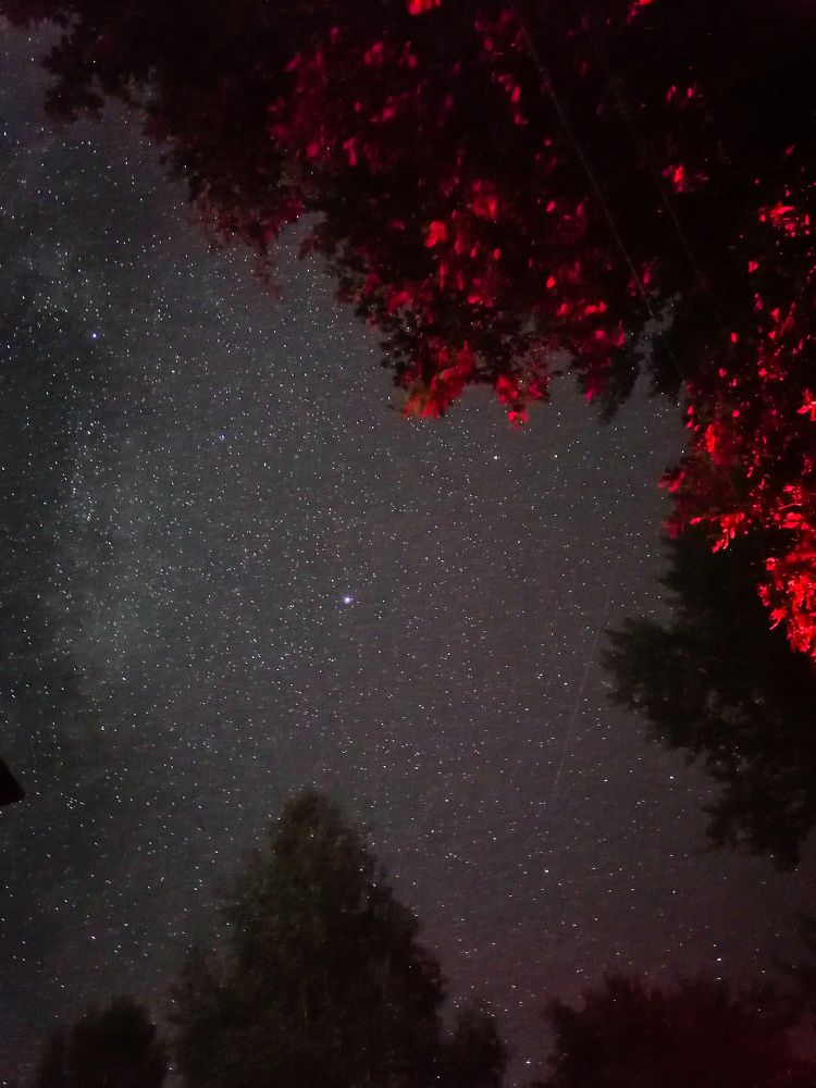 Photograph by Семён Чернобельский