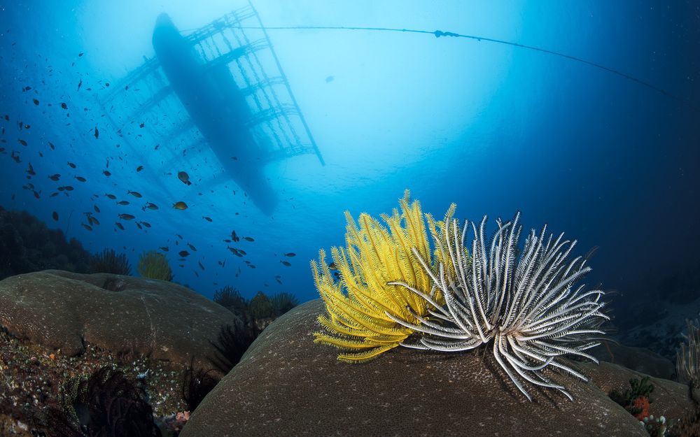 Photograph by Андрей Савин