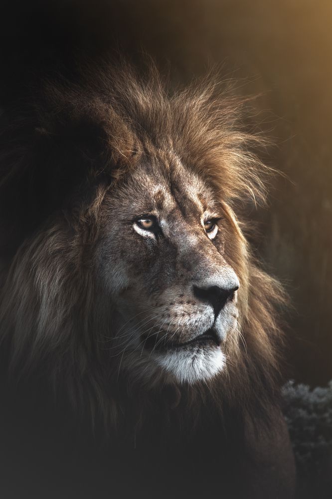 Photograph by Melanie Delamare