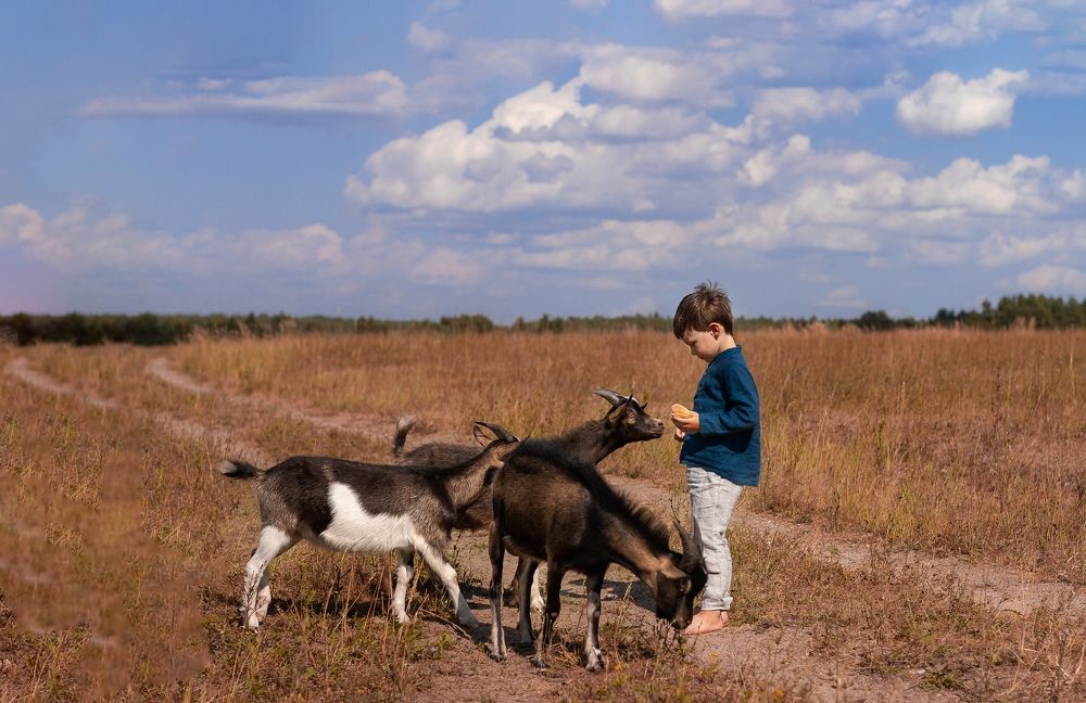 Photograph by Екатерина Овсянникова