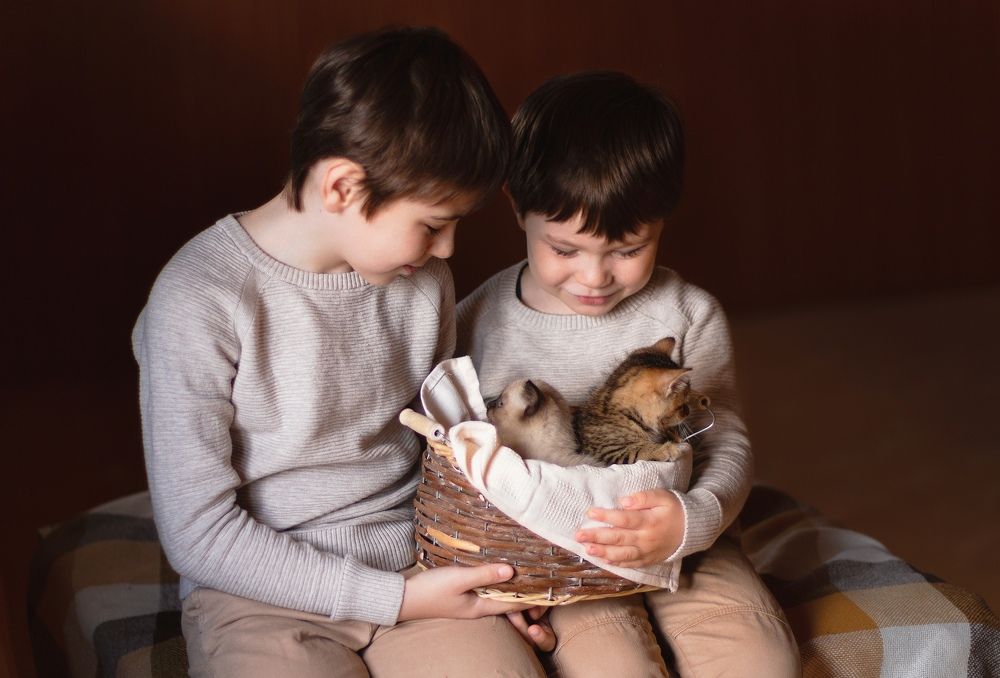 Photograph by Екатерина Овсянникова