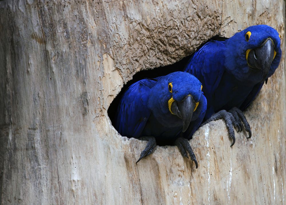 Photograph by Raivo Kremer