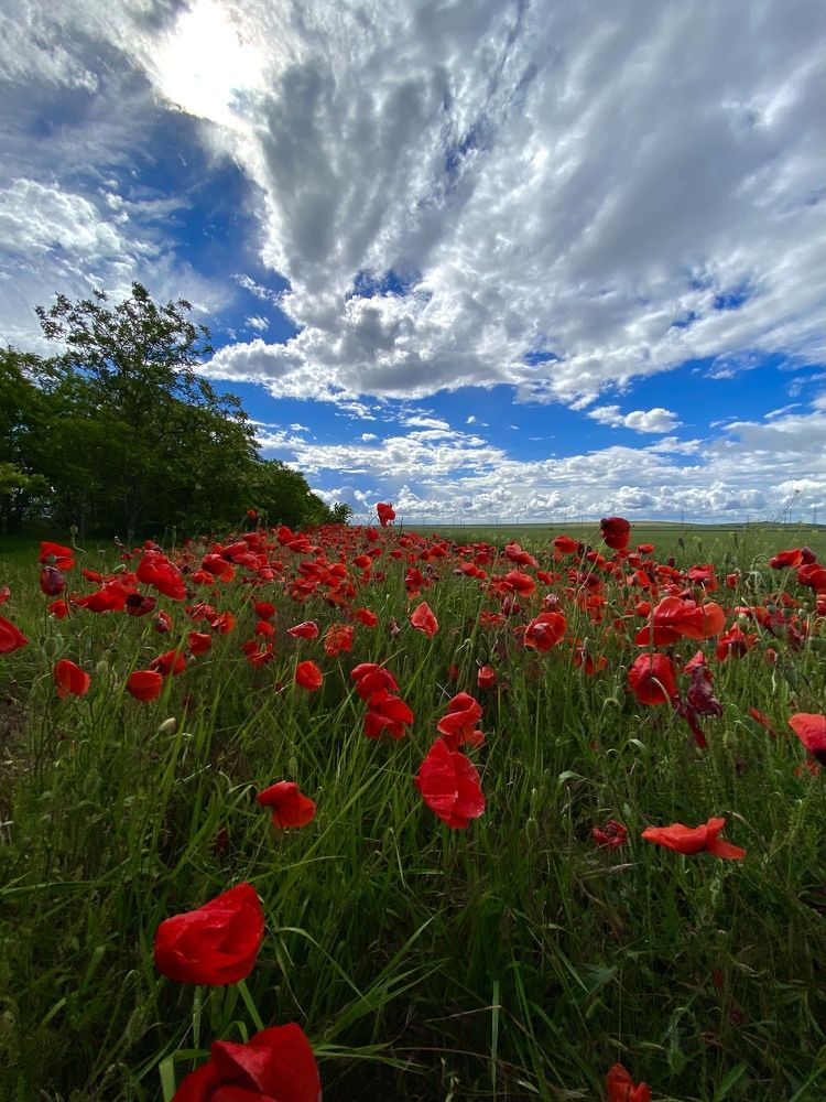 Photograph by Анна