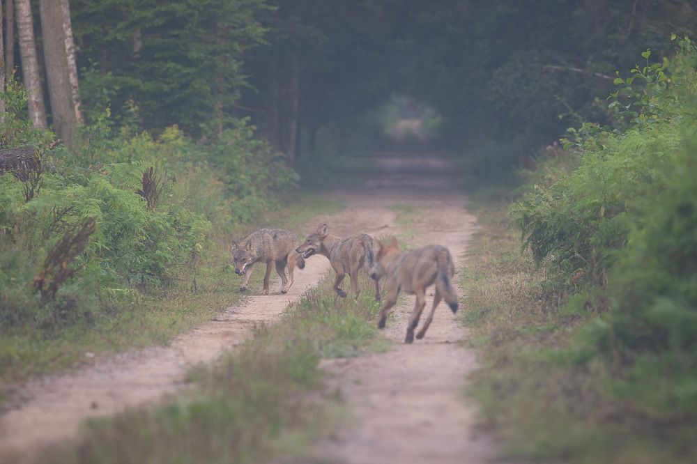 Photograph by Marcin Zakrzewski