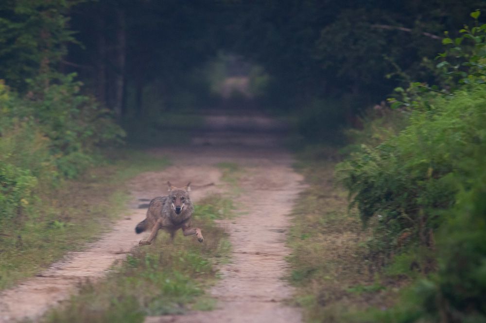 Photograph by Marcin Zakrzewski