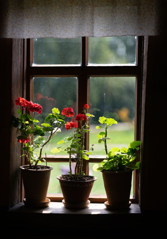 Photograph by Алия Курмангалеева