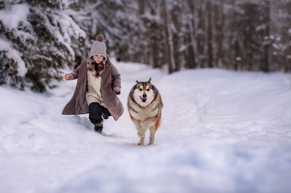 Photograph by  Екатерина Захарова