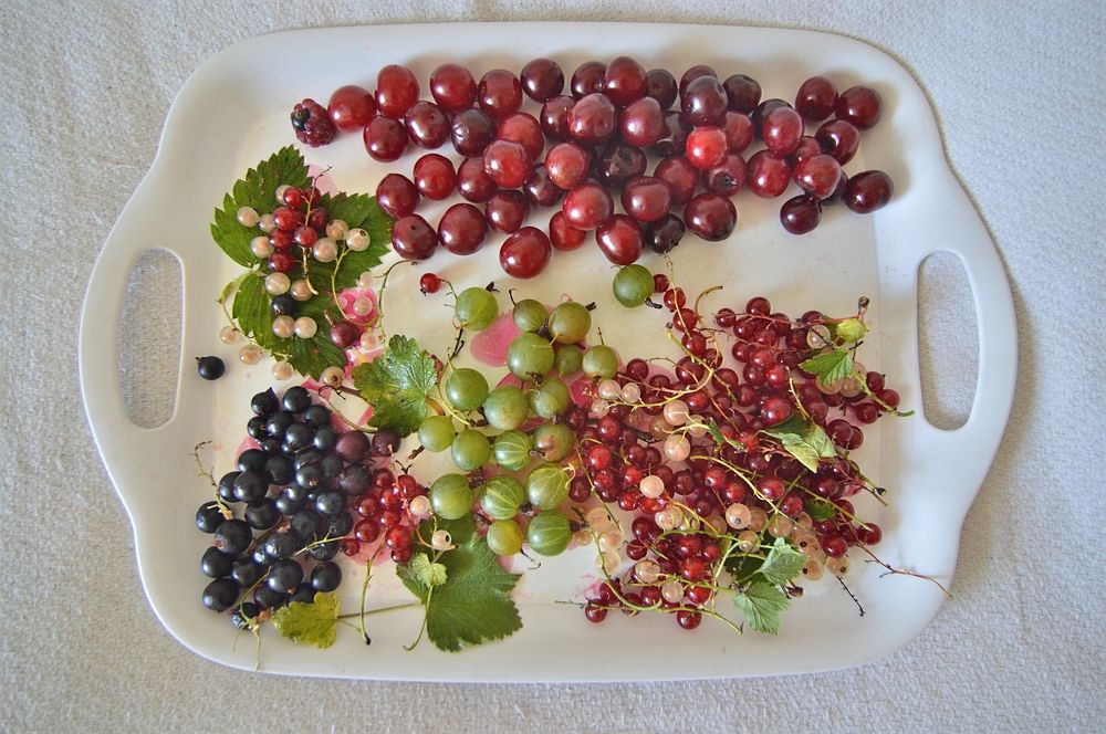 Фотография автора Клавдия Васильева