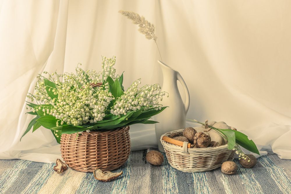 Photograph by Елена Сергеев