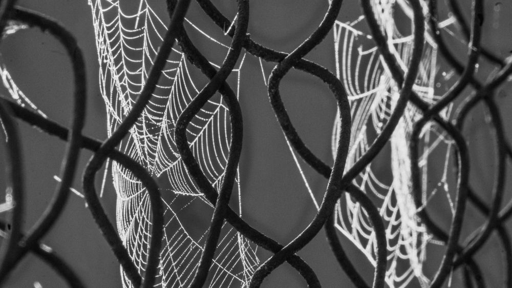 Плетения и переплетения