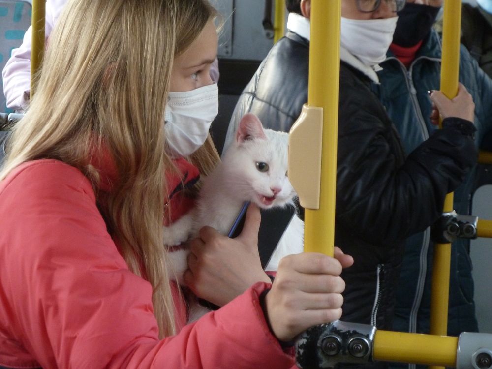 Фотография автора Клавдия Васильева