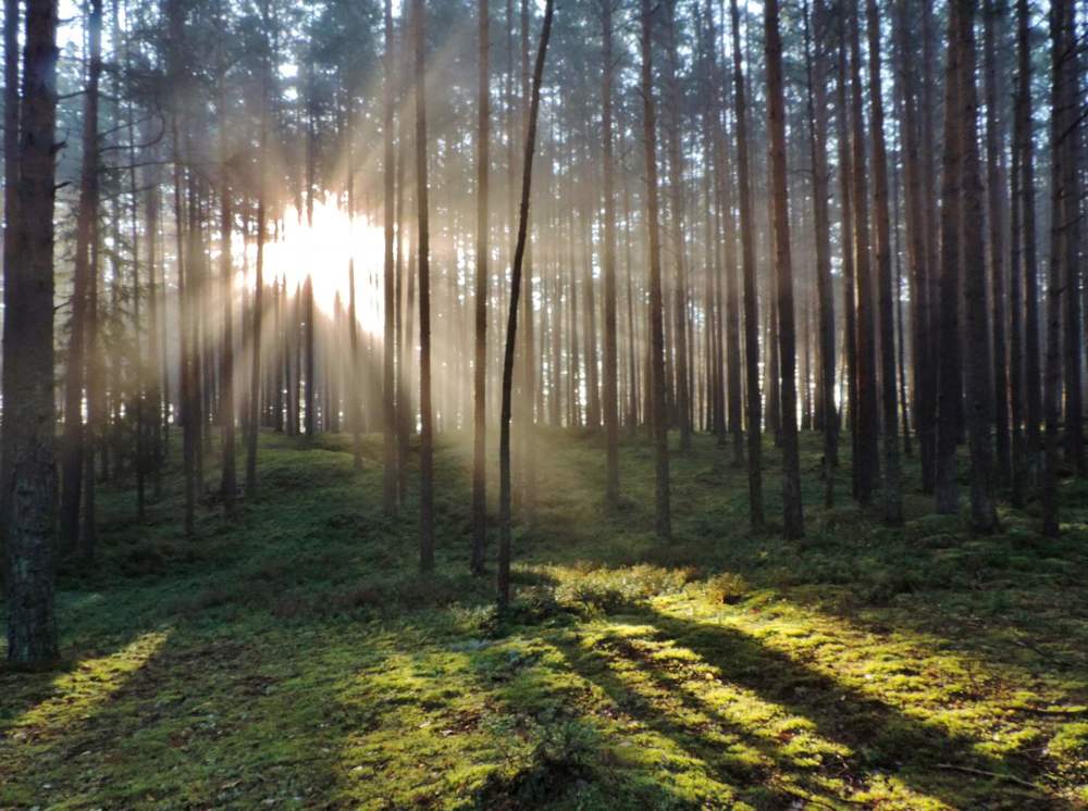 Photograph by Павел Васильев