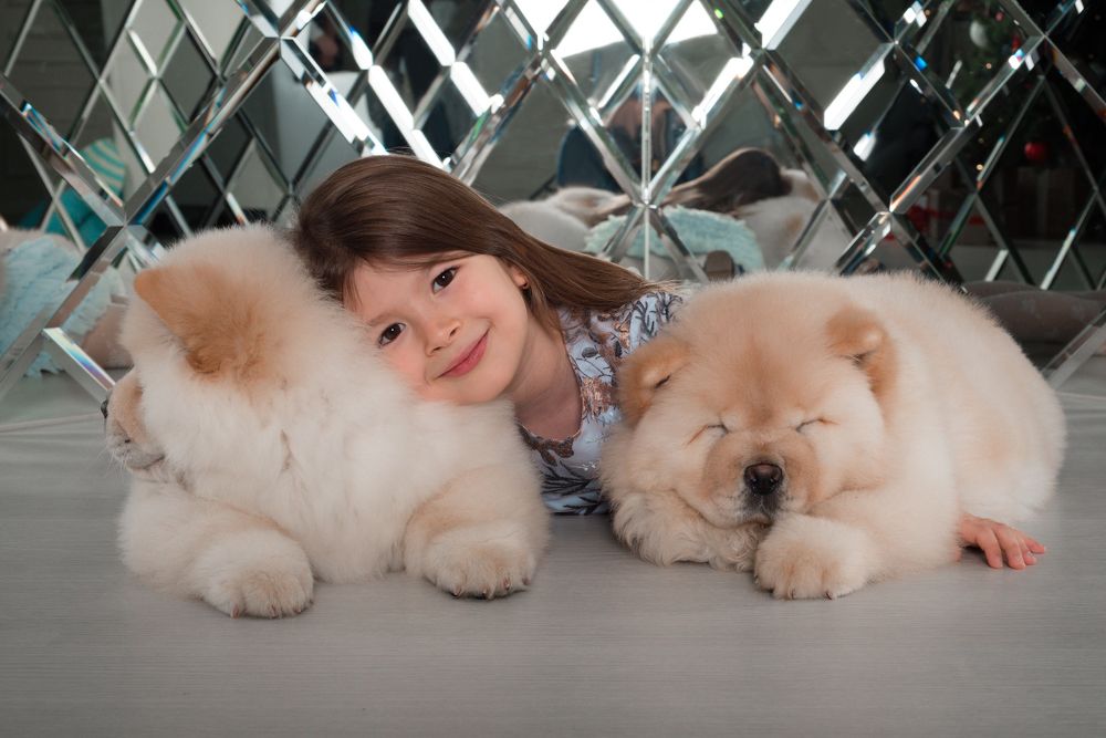 Photograph by Кадырова Анастасия