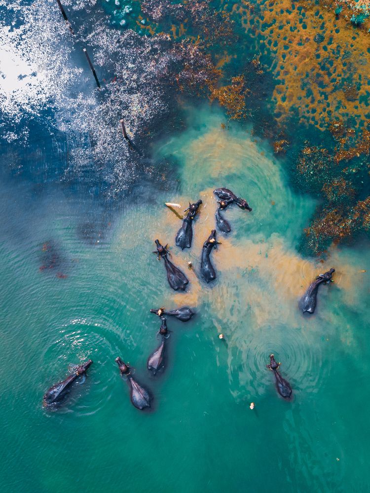 Photograph by Priyansh M. Jain