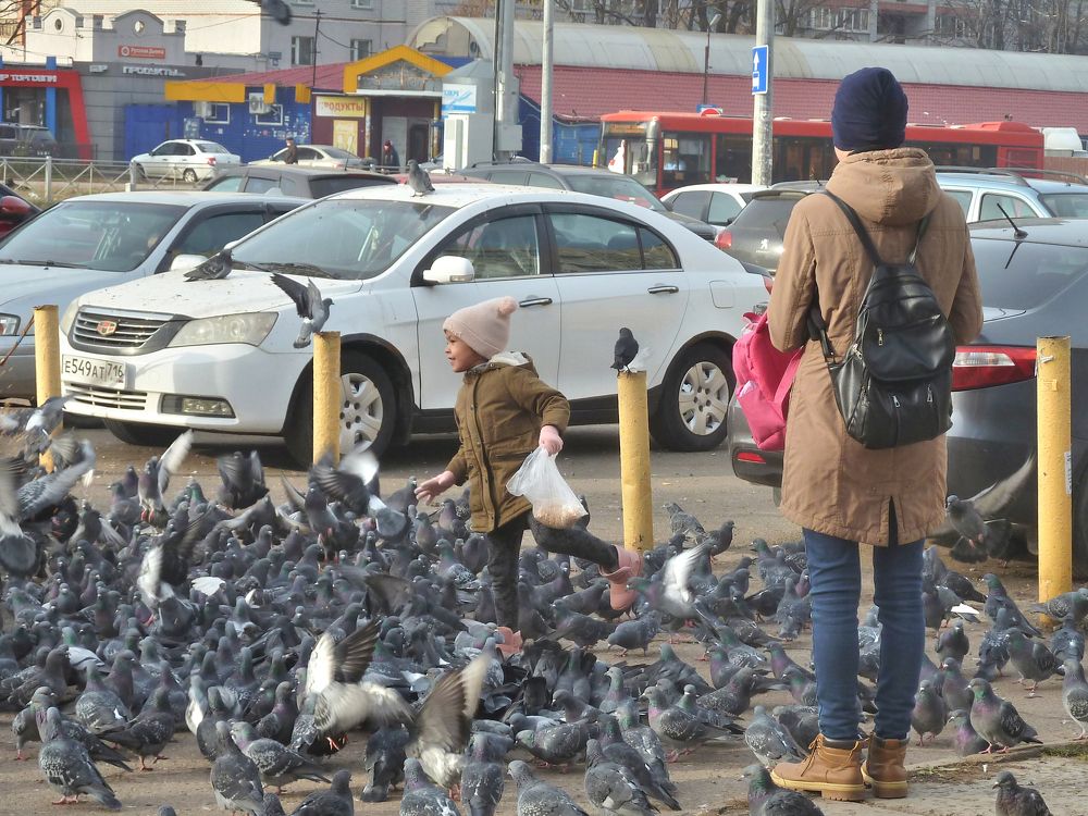 Фотография автора Клавдия Васильева