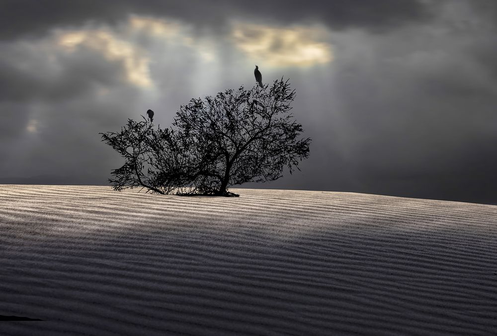 Photograph by Leonid Lan