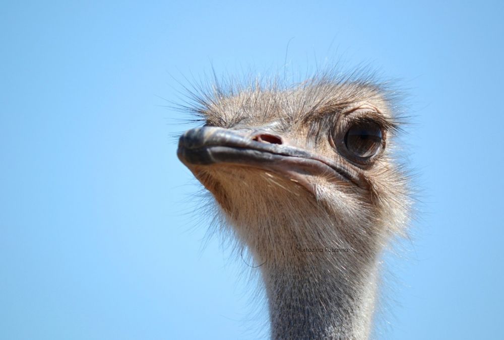 Photograph by Рузанна Муртазина