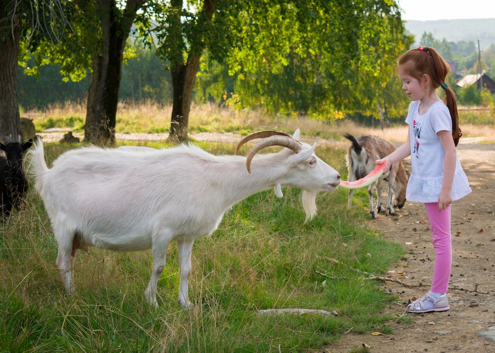 Photograph by Олег Бережных