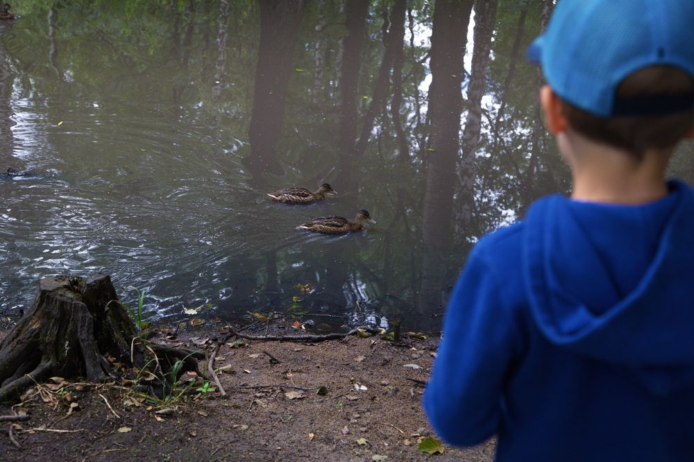 Photograph by Анатолий Протасов