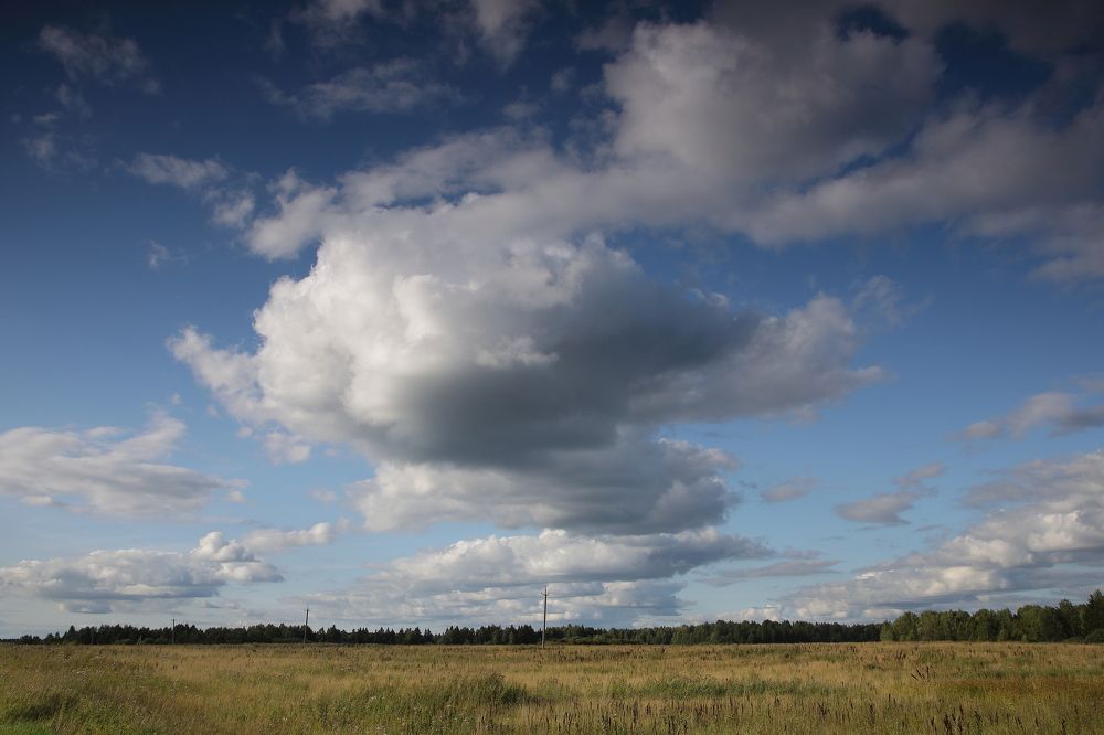 Photograph by Мария Харлашова