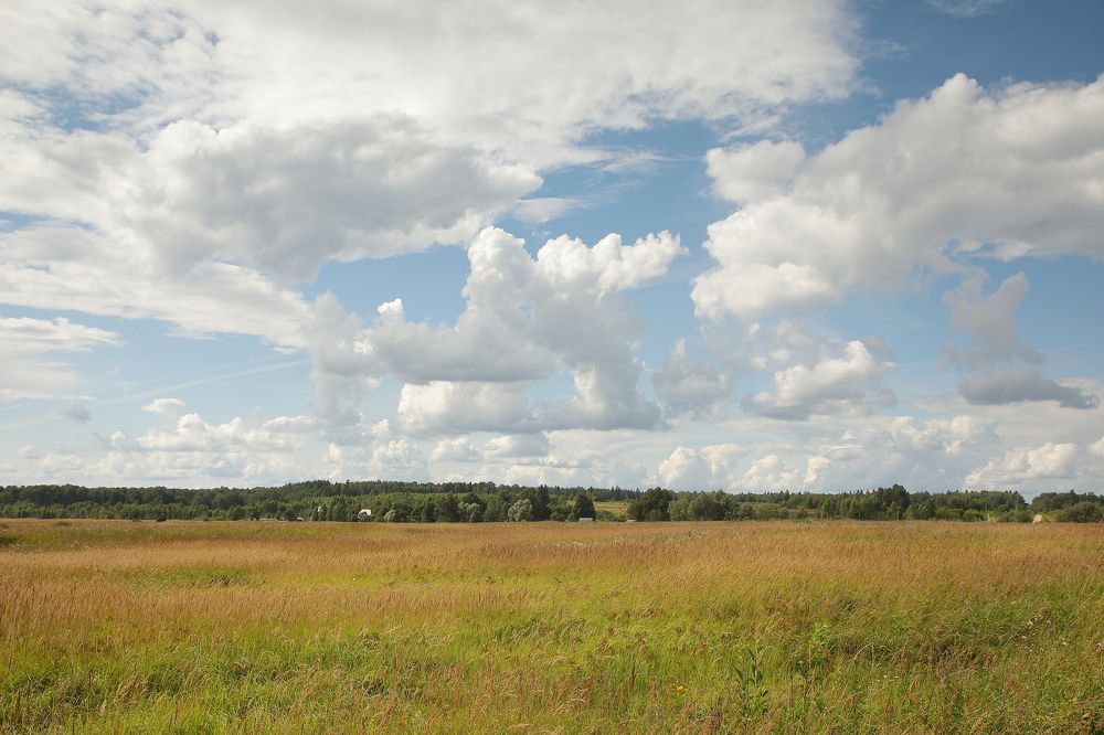Photograph by Мария Харлашова