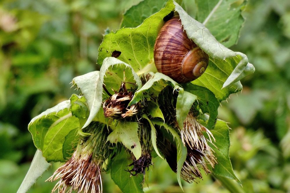 Photograph by backareva irina