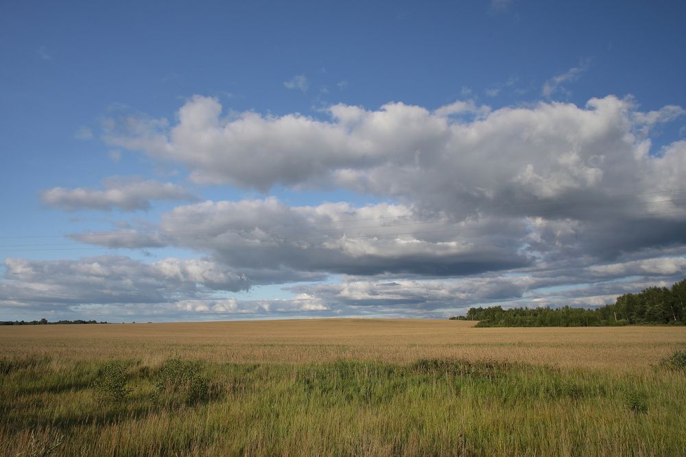 Photograph by Мария Харлашова