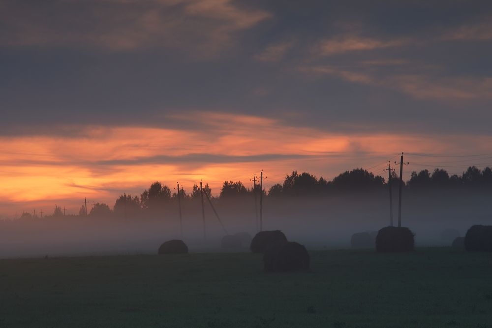 Photograph by Мария Харлашова