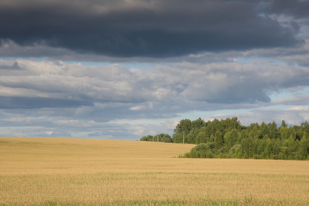 Photograph by Мария Харлашова