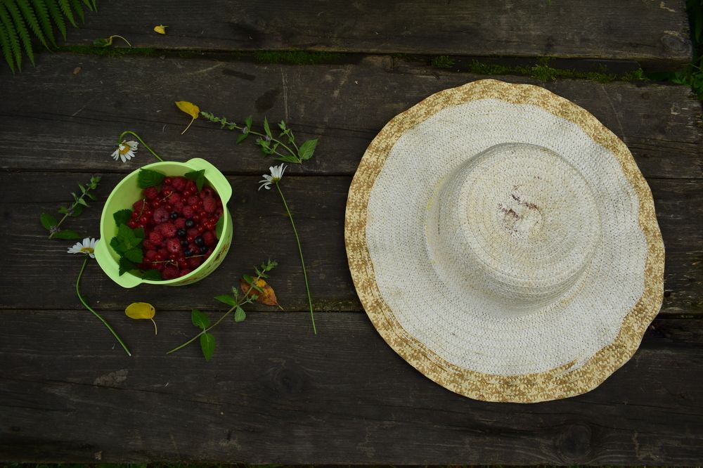 "Летняя пора"