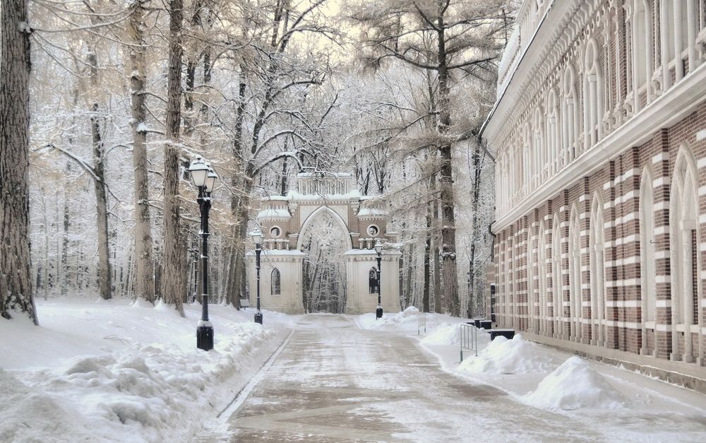 Зимнее утро