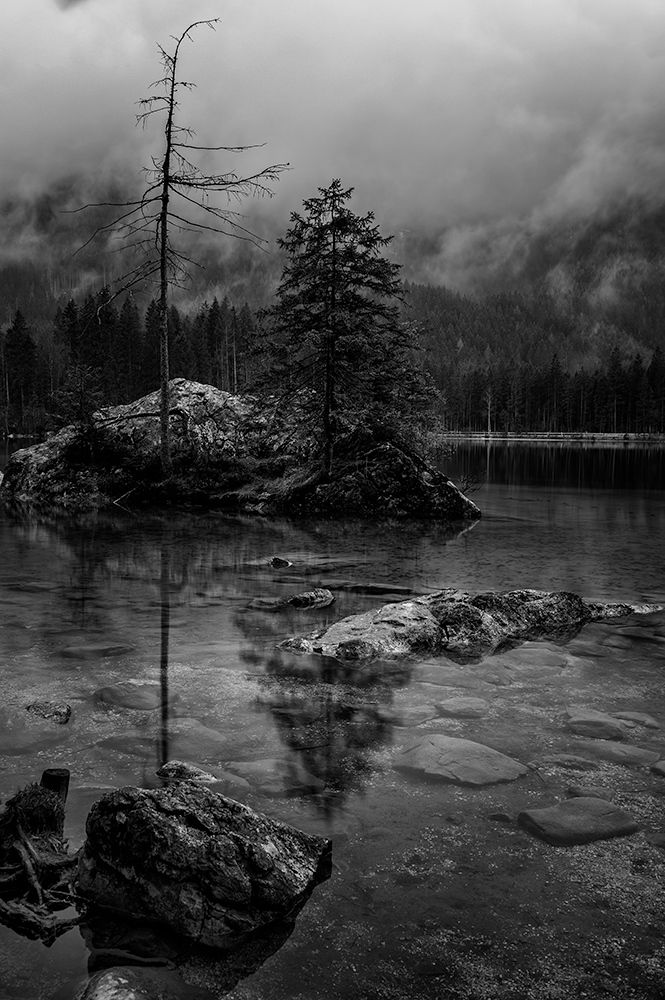 Photograph by Jürgen Wöhrle