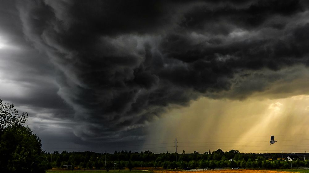 Photograph by Andrei Nikitin