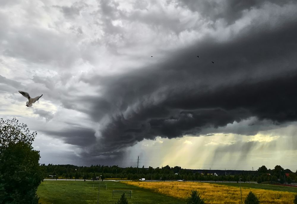 Photograph by Andrei Nikitin