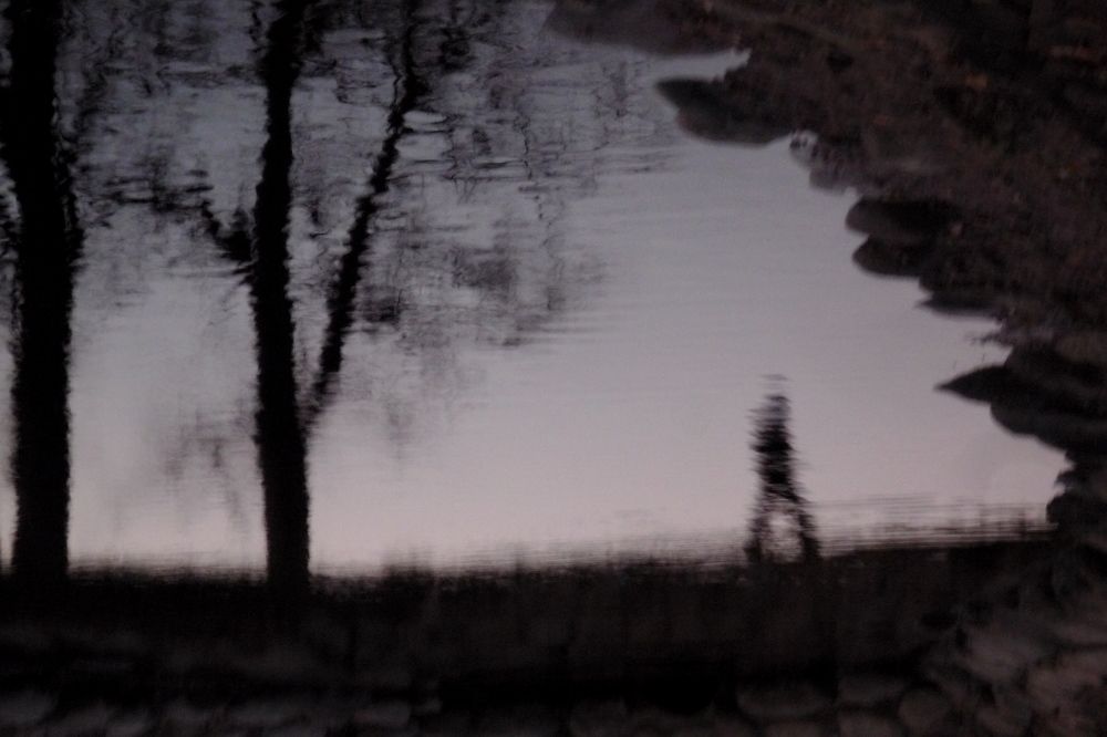 Photograph by Людмила Викулова