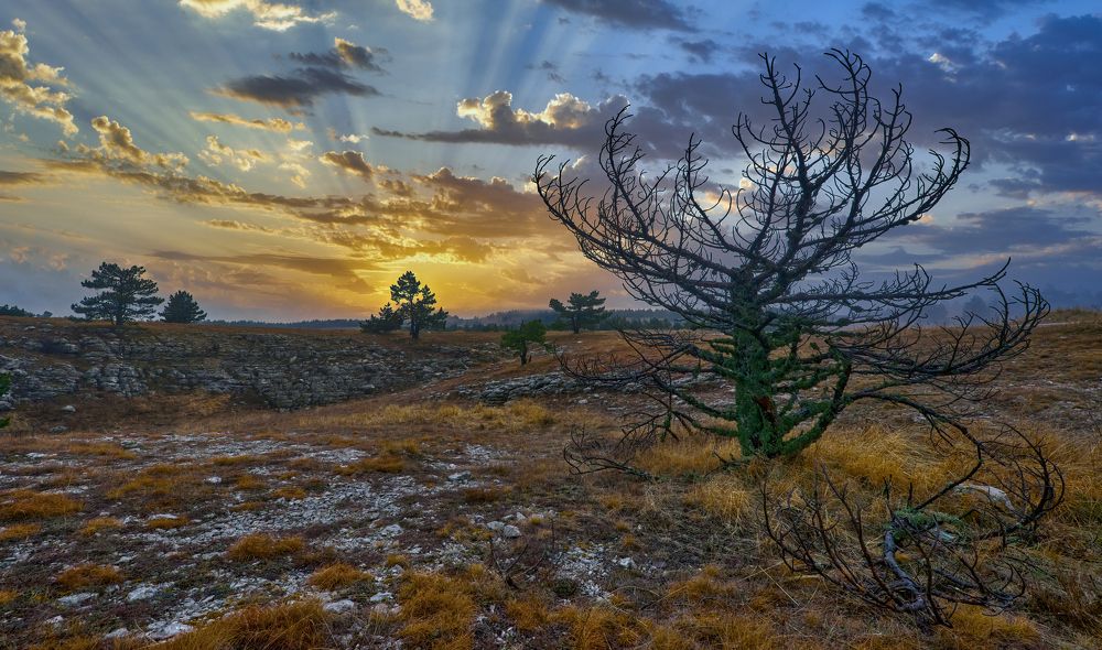 Photograph by Александр Алифанов