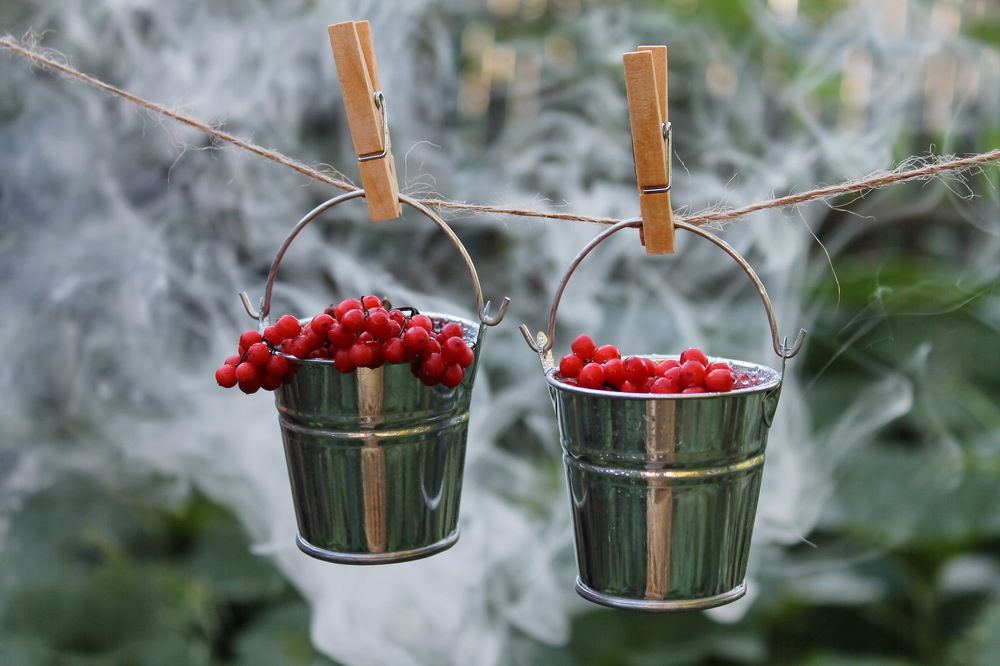 Созревание...