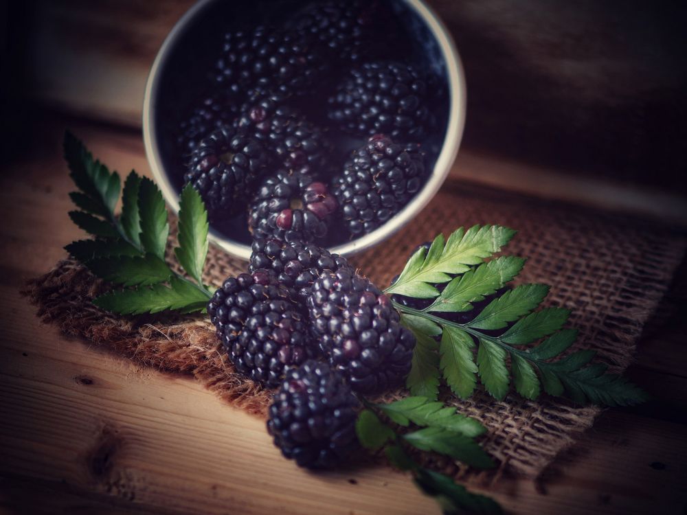 Photograph by Manjri Saxena