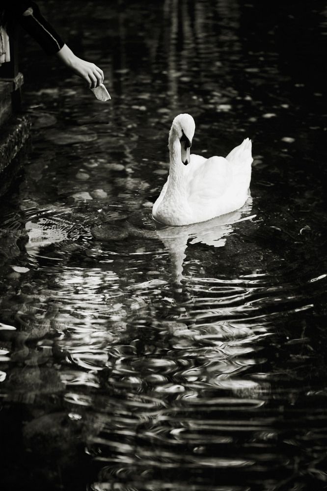 Photograph by Исам Хадж Ехья