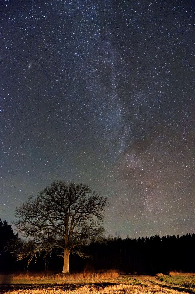 Milky Way in Latvia