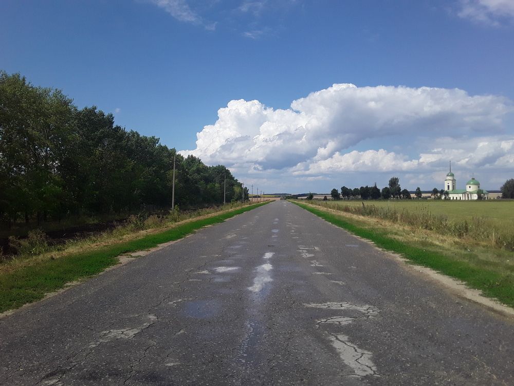 Photo #6382031