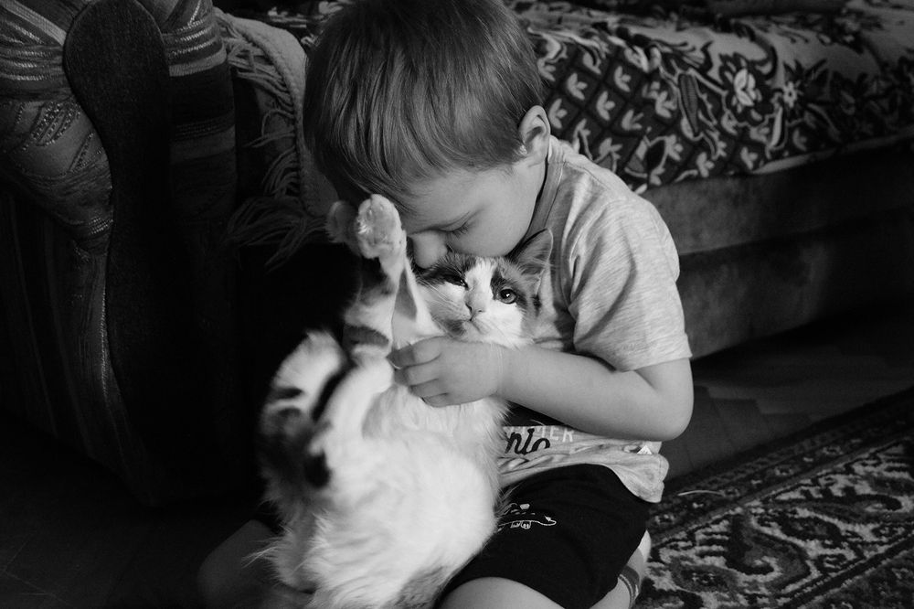 Photograph by Маргарита Гасец