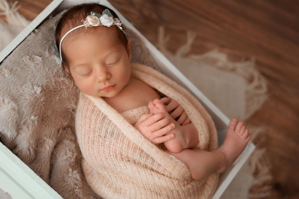 Сплюшка красотка