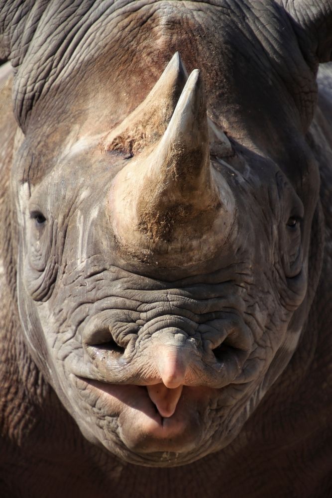 Photograph by Ирина Салминен