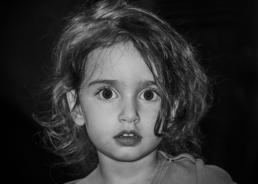 Фотография автора Hamidreza Saedi