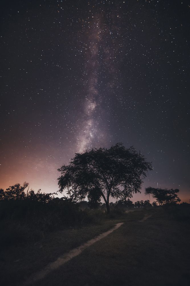 Photograph by Niranjan Baishya