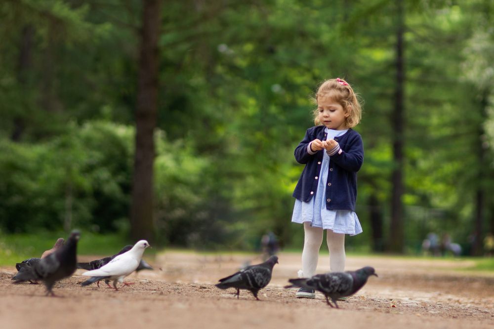 Photograph by Людмила Коробова