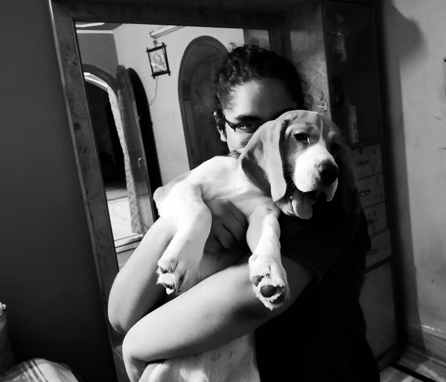 Photo #6382339